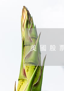 美國股票期權(quán)制度