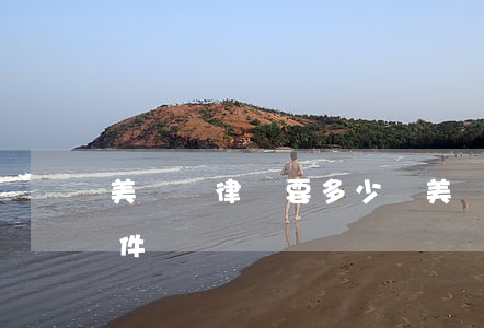 美國請律師要多少錢(美國做律師需要什么條件)