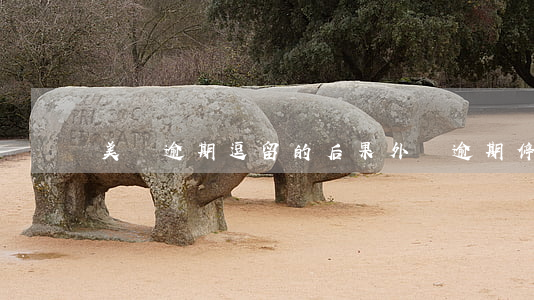美國逾期逗留的后果(外國逾期停留了怎么辦)