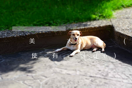 美國駐華大使館有幾個(gè)(中國駐美大使館有幾個(gè))