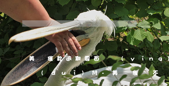 美圖催款逾期要面談應(yīng)該怎么對(duì)付-美圖催債不協(xié)商怎么辦