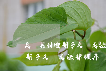 美圖月付逾期多久會走法律程序(美圖月付逾期多久會走法律程序)