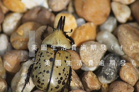 美圖生活費逾期發(fā)的有地址的短信-美圖生活費逾期發(fā)的有地址的短信是真的嗎