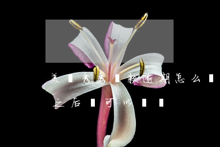 美圖秀秀還款逾期怎么辦(美圖秀秀借款還完之后還可以貸嗎)