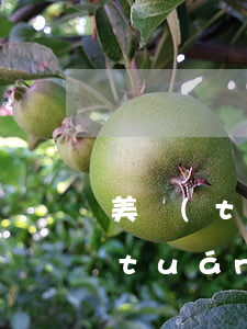 美團(tuán)7000逾期3天(美團(tuán)逾期2個(gè)小時(shí))