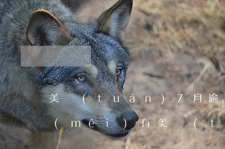 美團(tuán)7月逾期了8月查征信沒(méi)有(美團(tuán)逾期三天什么時(shí)候查征信能查出來(lái))