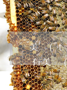 美團(tuán)7月逾期了8月查征信沒有(美團(tuán)逾期三天什么時(shí)候查征信能查出來)