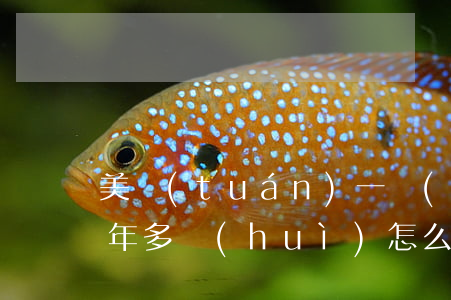 美團(tuán)一萬(wàn)六逾期一年多會(huì)怎么樣 美團(tuán)欠錢3250逾期一個(gè)多月要還多少?