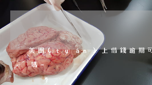美團(tuán)上借錢逾期可以直接起訴嗎-