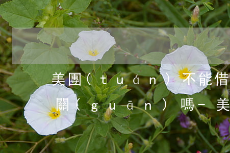 美團(tuán)不能借錢與拼多多逾期有關(guān)嗎-美團(tuán)不能借錢與拼多多逾期有關(guān)嗎怎么辦