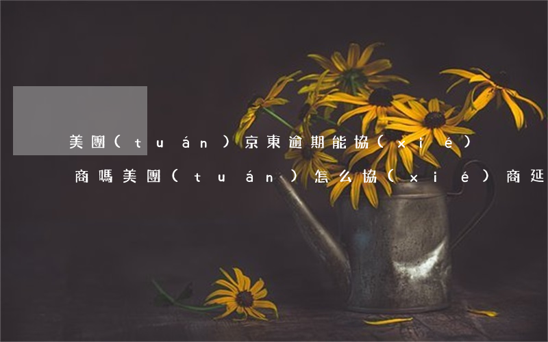 美團(tuán)京東逾期能協(xié)商嗎(美團(tuán)怎么協(xié)商延期還款)