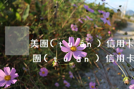 美團(tuán)信用卡30萬逾期多久 美團(tuán)信用卡60天