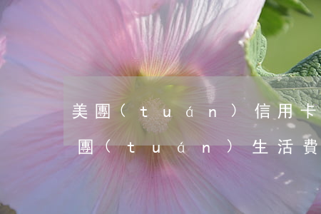 美團(tuán)信用卡7.5還款逾期 美團(tuán)生活費(fèi)逾期美團(tuán)信用卡還能用嗎