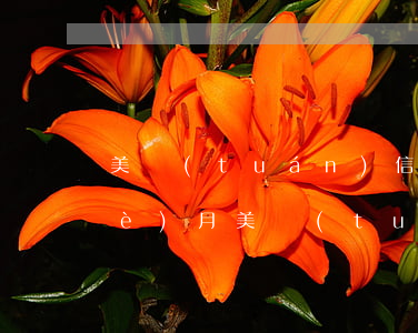 美團(tuán)信用卡六千逾期四個(gè)月(美團(tuán)信用卡六千逾期四個(gè)月)