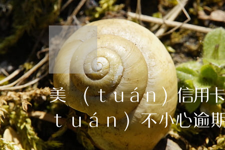 美團(tuán)信用卡多次逾期-美團(tuán)不小心逾期一天,對(duì)信用影響大嗎?