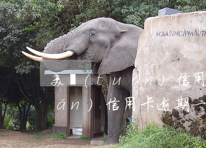 美團(tuán)信用卡逾期-美團(tuán)信用卡逾期一天有影響么