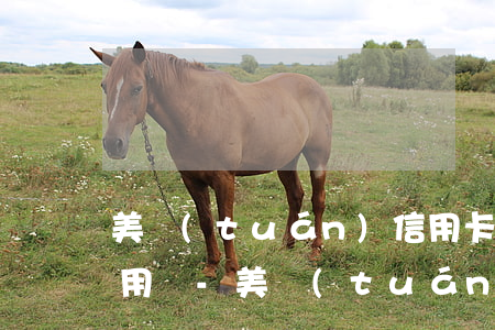 美團(tuán)信用卡逾期4天還能再使用嗎-美團(tuán)信用卡逾期4天還能再使用嗎知乎