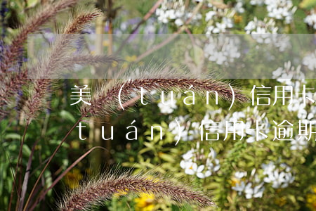 美團(tuán)信用卡逾期不提醒(美團(tuán)信用卡逾期不提醒怎么辦)
