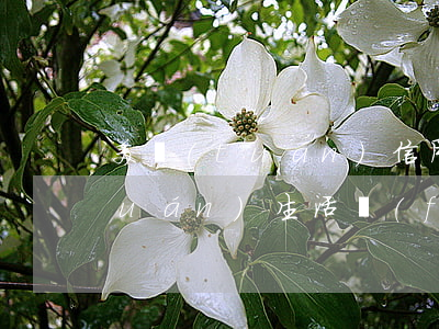 美團(tuán)信用卡逾期信息(美團(tuán)生活費(fèi)逾期美團(tuán)信用卡還能用嗎)