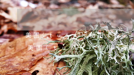 美團(tuán)信用卡逾期可以分期嗎-美團(tuán)信用卡逾期可以分期嗎怎么還款