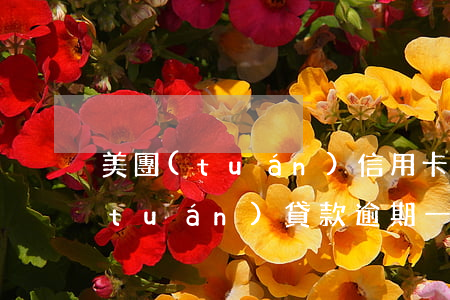 美團(tuán)信用卡逾期會怎樣 美團(tuán)貸款逾期一天會不會對征信有影響信用卡使用