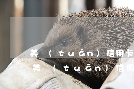 美團(tuán)信用卡逾期還款不能用了(美團(tuán)信用卡逾期還款不能用了嗎)