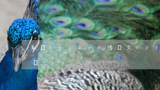 美團(tuán)借唄欠10000還能借嗎-