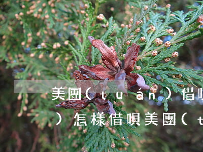 美團(tuán)借唄花唄逾期會(huì)怎樣(借唄美團(tuán)借款影響房貸嗎)