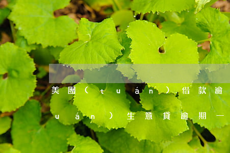 美團(tuán)借款逾期被起訴 美團(tuán)生意貸逾期一個(gè)月說(shuō)已經(jīng)起訴我了