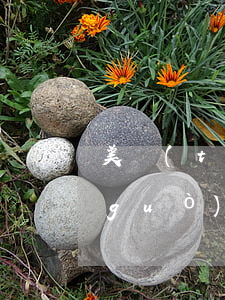 美團(tuán)借錢(qián)用過(guò)信用卡逾期還能借嗎-美團(tuán)借錢(qián)用過(guò)信用卡逾期還能借嗎安全嗎