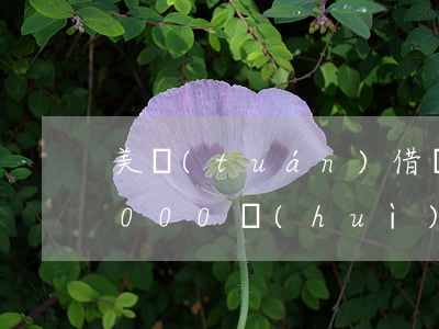 美團(tuán)借錢(qián)逾期2000會(huì)被起訴么-美團(tuán)借錢(qián)逾期2000會(huì)被起訴么嗎