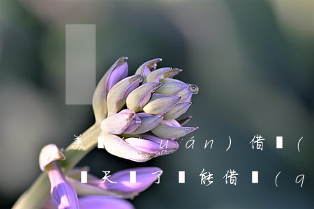 美團(tuán)借錢(qián)逾期了幾天還了還能借錢(qián)嗎（美團(tuán)逾期多久恢復(fù)使用借唄）