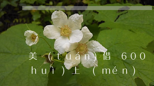 美團(tuán)借錢600塊錢逾期會(huì)上門(mén)嗎-美團(tuán)借錢600塊錢逾期會(huì)上門(mén)嗎是真的嗎