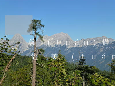 美團(tuán)借錢后逾期后要還的錢翻倍-美團(tuán)借錢后逾期后要還的錢翻倍怎么辦