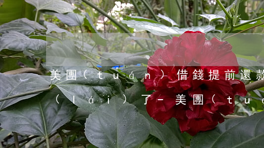 美團(tuán)借錢提前還款后借不出來(lái)了-美團(tuán)借錢提前還款后借不出來(lái)了怎么辦