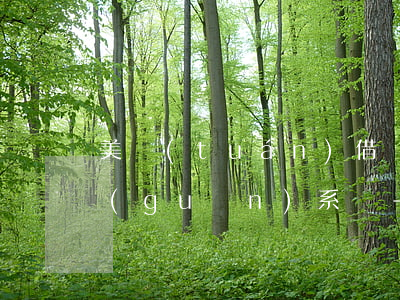 美團(tuán)借錢被拒和花唄逾期有關(guān)系嗎-美團(tuán)借錢被拒和花唄逾期有關(guān)系嗎安全嗎
