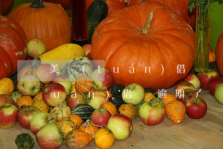美團(tuán)借錢說要起訴我(美團(tuán)借錢逾期了沒還說要告我上法庭)