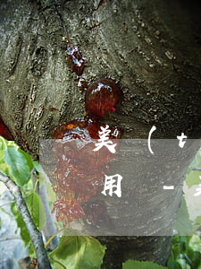 美團(tuán)借錢逾期10天還可以使用嗎-美團(tuán)借錢逾期10天還可以使用嗎安全嗎