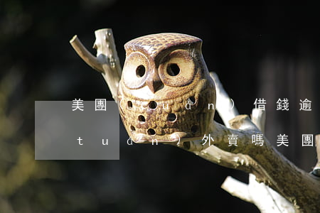 美團(tuán)借錢逾期可以去送美團(tuán)外賣嗎 美團(tuán)外賣還可以借錢