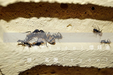 美團(tuán)借錢逾期幾天會上個人征信-美團(tuán)借錢逾期幾天會上個人征信報告嗎