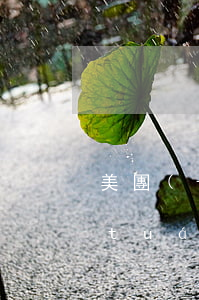 美團(tuán)借錢逾期要起訴我(美團(tuán)借錢多久起訴)