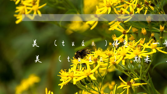 美團(tuán)停息掛帳一年真的假的-美團(tuán)長期未還款會凍結(jié)財產(chǎn)嗎
