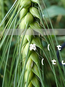 美團(tuán)分期還款逾期了怎么辦 美團(tuán)分期可以延后還款嗎