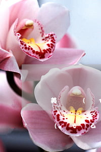 美團(tuán)協(xié)商還款平臺(tái)可以修改金額嗎-美團(tuán)協(xié)商還款平臺(tái)可以修改金額嗎安全嗎