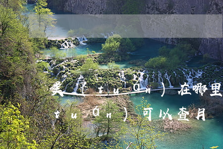 美團(tuán)在哪里看逾期賬單(美團(tuán)可以查月賬單嗎)