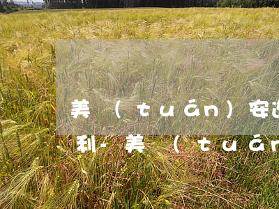 美團(tuán)安逸花不逾期會不會利滾利-美團(tuán)安逸花逾期多久上征信?后果有多嚴(yán)重?