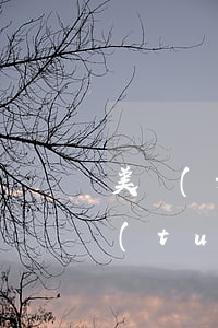 美團(tuán)寄的律師函是真的嗎(美團(tuán)律師是真的嗎?)