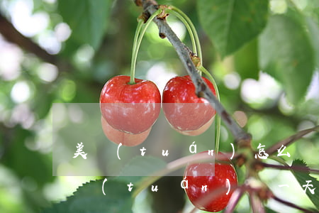 美團(tuán)怎么樣算逾期一天還款 美團(tuán)遲一天還款會(huì)怎么樣