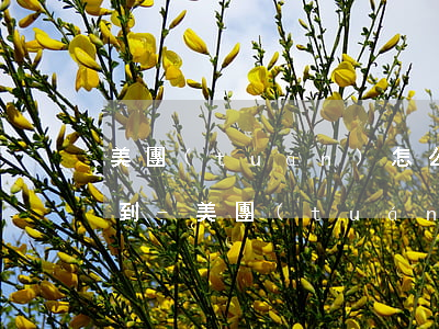 美團(tuán)怎么逾期了分期還款找不到-美團(tuán)怎么逾期了分期還款找不到了呢