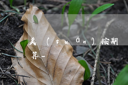 美團(tuán)按期還款還是隨借隨還合算-